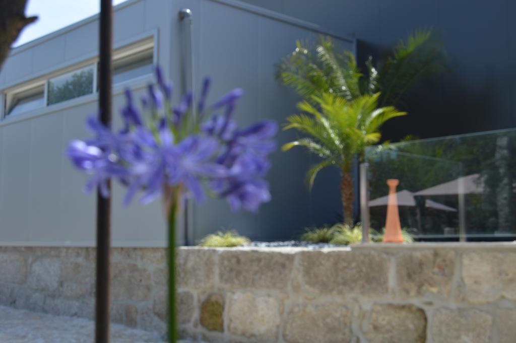 Quinta Das Tulipas Villa Barcelos Kültér fotó