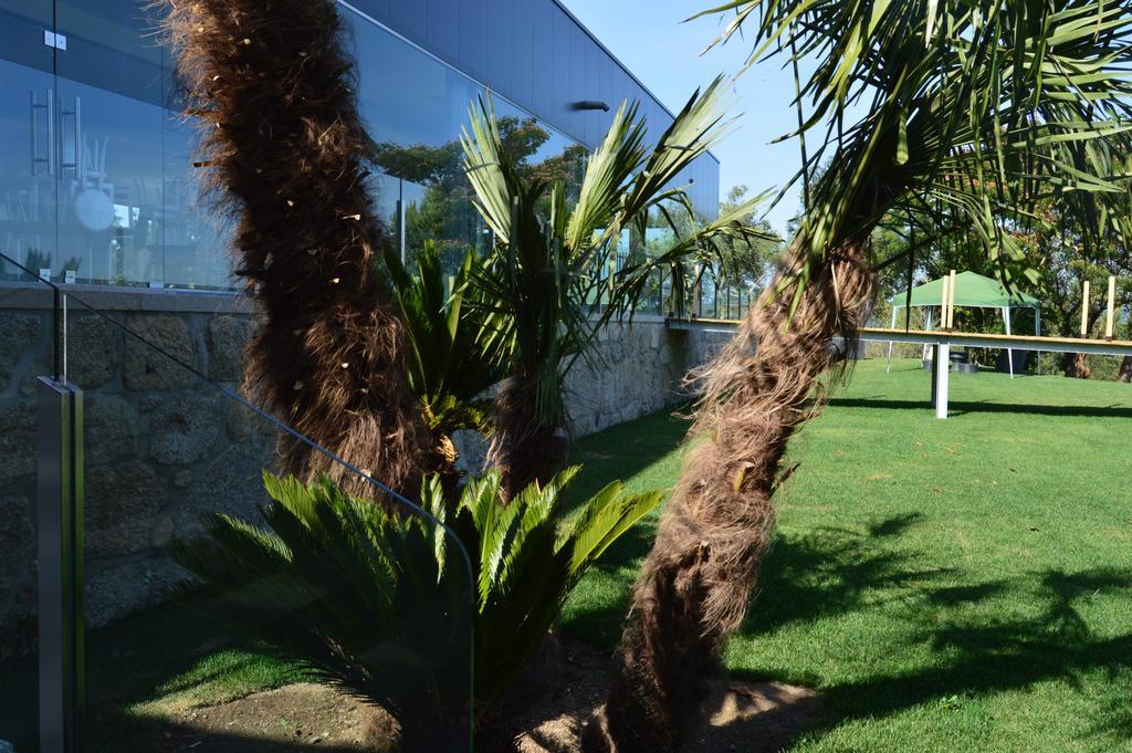 Quinta Das Tulipas Villa Barcelos Kültér fotó